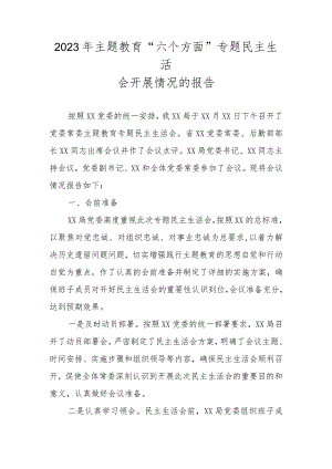 2023年主题教育“六个方面”专题民主生活会开展情况的报告.docx
