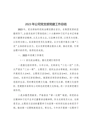 2023年公司党支部党建工作总结.docx