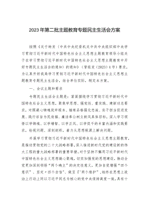 2023年主题教育专题民主生活会方案5000字√.docx