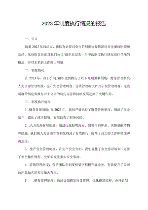 2023年制度执行情况的报告.docx