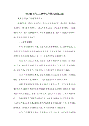 领导班子民主生活会工作情况报告三篇.docx