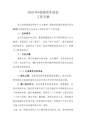 2019年基层党组织组织生活会方案.docx