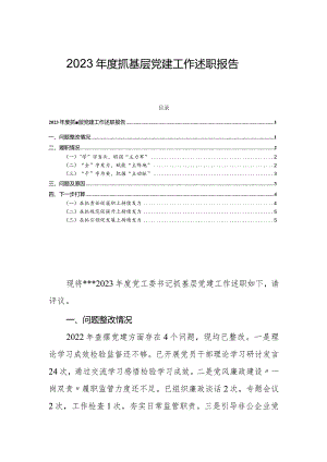 2023年度抓基层党建工作述职报告.docx