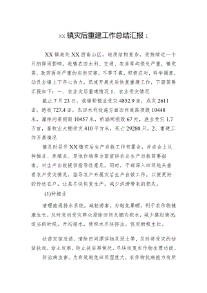 xx镇灾后重建工作总结汇报2篇.docx