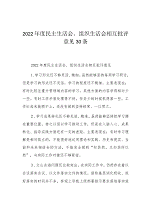 2022年度民主生活会、组织生活会相互批评意见30条.docx