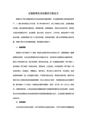 主题教育生活会整改方案全文.docx
