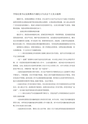 学校纪委书记巡视整改专题民主生活会个人发言提纲.docx