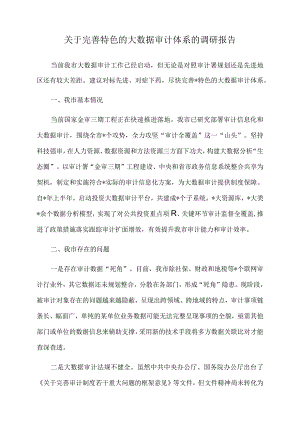 2022年关于完善特色的大数据审计体系的调研报告.docx