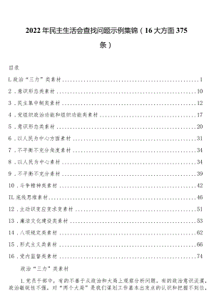 2022年民主生活会查找问题示例集锦（16大方面375条）.docx