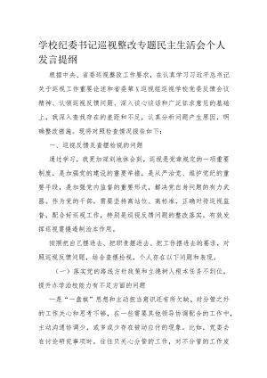 学校纪委书记巡视整改专题民主生活会个人发言提纲.docx