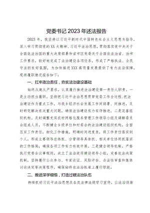 党委书记2023年述法报告.docx