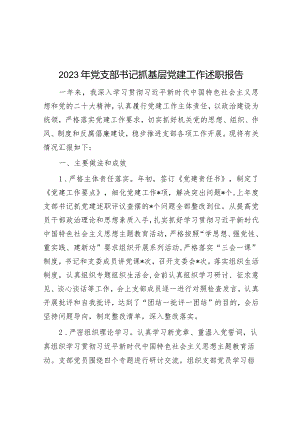 2023年党支部书记抓基层党建工作述职报告.docx