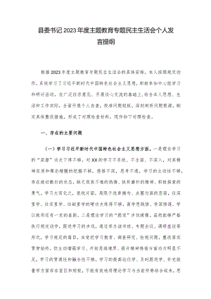 县委书记2023年度主题教育专题民主生活会个人发言提纲.docx