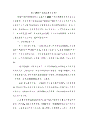 班子2023年检视检查发言提纲.docx