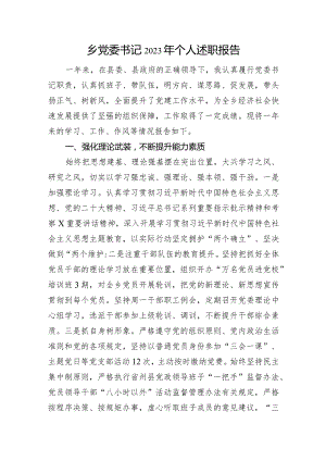 乡党委书记2023年个人述职报告.docx