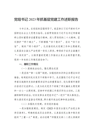党组书记2023年抓基层党建工作述职报告.docx