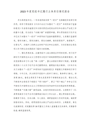 2023年度党组书记履行主体责任情况报告.docx