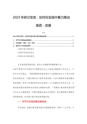 2023年研讨发言：如何在实践中着力推动高质量发展.docx