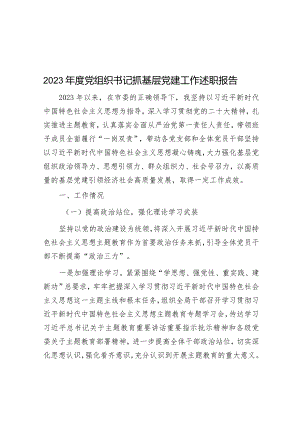2023年度党组织书记抓基层党建工作述职报告.docx