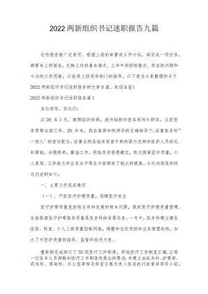 2022两新组织书记述职报告九篇.docx