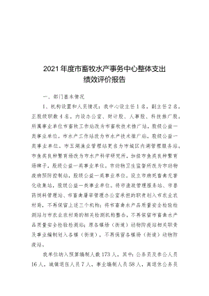 2016年度市政府金融办整体支出绩效评价报告.docx