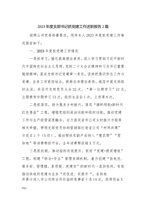 2023年度支部书记抓党建工作述职报告2篇.docx
