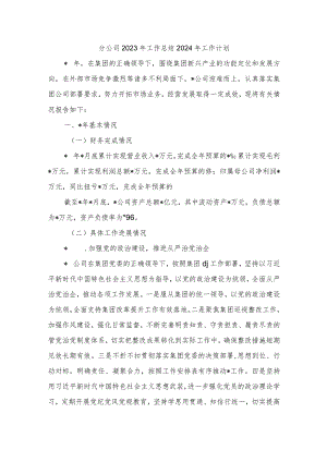 分公司2023年工作总结2024年工作计划.docx