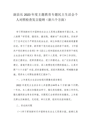 副县长2023年度主题教育专题民主生活会个人对照检查发言提纲.docx
