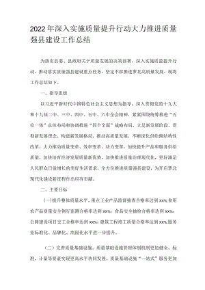 2022年深入实施质量提升行动大力推进质量强县建设工作总结.docx
