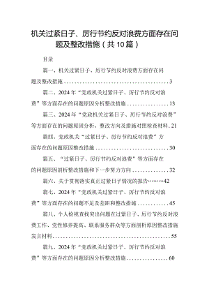 机关过紧日子、厉行节约反对浪费方面存在问题及整改措施(精选10篇).docx