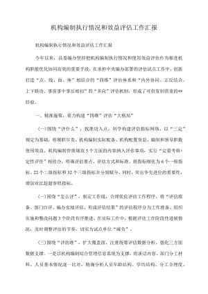 2022年机构编制执行情况和效益评估工作汇报.docx