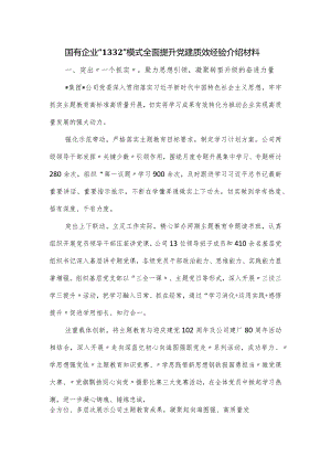 国有企业全面提升党建质效经验介绍材料.docx