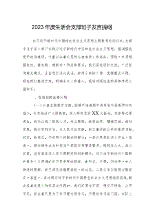 支部班子2023-2024年度班子对照检视发言提纲（六个方面）.docx