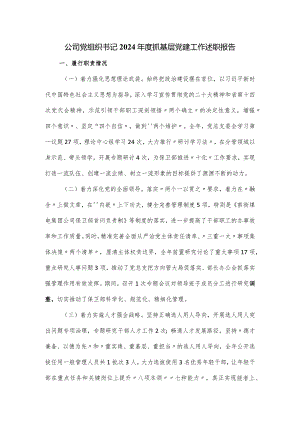 公司党组织书记2024年度抓基层党建工作述职报告.docx
