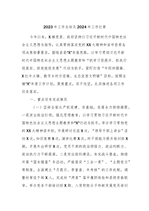 2023年工作总结及2024年工作打算.docx