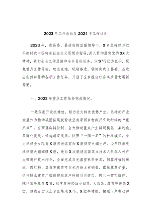 2023年工作总结及2024年工作计划.docx