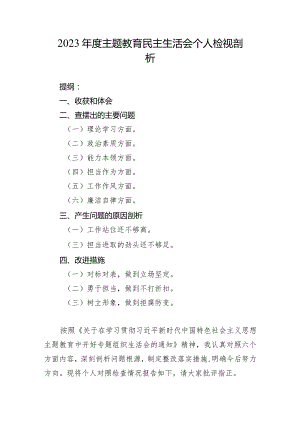 2023年度主题教育民主生活会个人检视剖析.docx