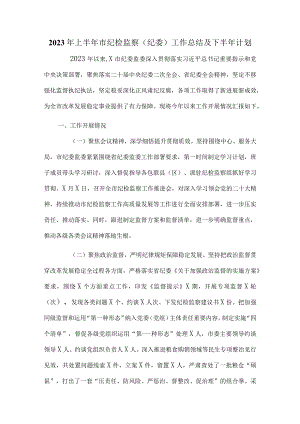 2023年上半年市纪检监察(纪委)工作总结及下半年计划.docx