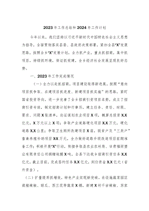 2023年工作总结和2024年工作计划.docx