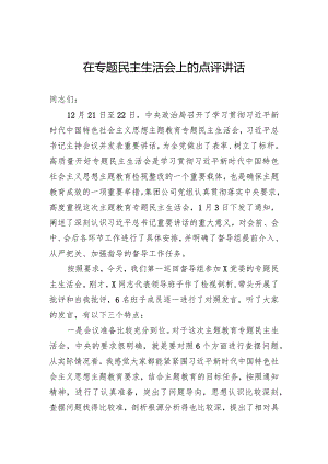 在主题教育民主生活会上的点评讲话.docx
