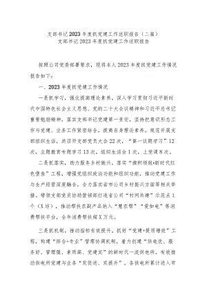 支部书记2023年度抓党建工作述职报告(二篇).docx