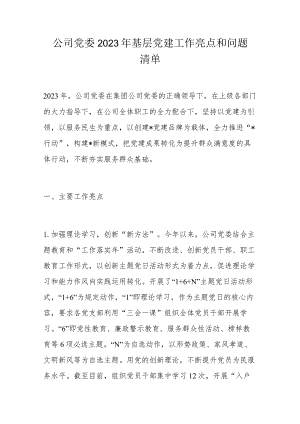 公司党委2023年基层党建工作亮点和问题清单.docx