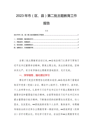 2023年市（区、县）第二批主题教育工作报告.docx