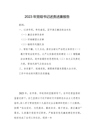 2023年党组书记述责述廉报告.docx