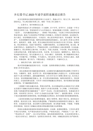 乡纪委书记2023年述学述职述廉述法报告.docx