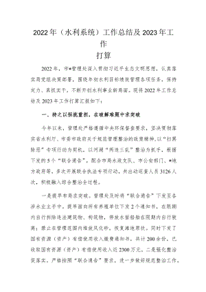 2022年(水利系统)工作总结及2023年工作打算.docx