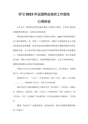 2023年全国两会政府工作报告心得体会模板.docx