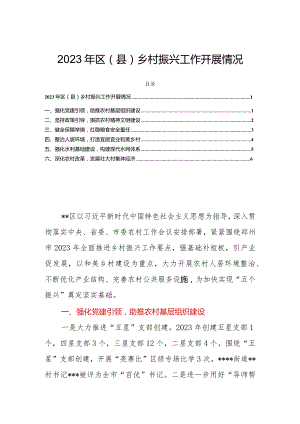 2023年区（县）乡村振兴工作开展情况.docx
