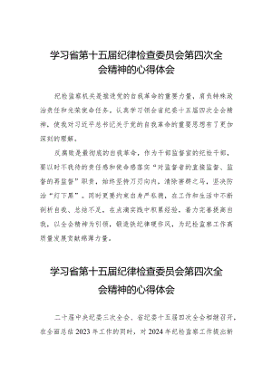 2024年江西省纪委十五届四次全会精神心得体会交流发言二十二篇.docx