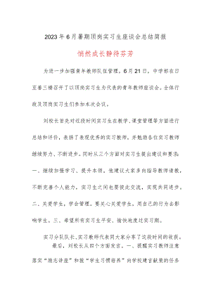 2023年6月暑期顶岗实习生座谈会总结简报《悄然成长静待芬芳》.docx